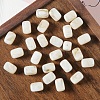 Resin Beads PW-WG49BAB-04-1