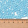 Baking Paint Glass Seed Beads SEED-B001-02A-12-4