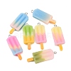 Rainbow Resin Pendants CRES-S359-30-3