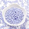 Baking Paint Glass Seed Beads SEED-A033-04H-2
