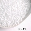 Opaque 11/0 Glass Seed Beads SEED-I013-2mm-RR41-1