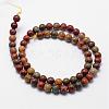 Natural Polychrome Jasper/Picasso Stone/Picasso Jasper Bead Strands G-D840-85-12mm-2