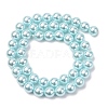 Electroplated Shell Pearl Beads Strands BSHE-G041-8mm-03-2