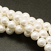 Shell Pearl Beads Strands BSHE-E008-16mm-12-1