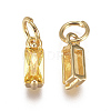 Brass Micro Pave Cubic Zirconia Charms X-ZIRC-F111-03G-3