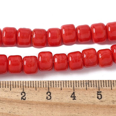 Handmade Lampwork Beads Strands LAMP-I030-02-1
