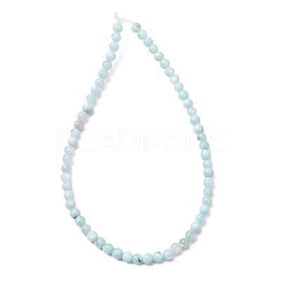 Dyed Natural Freshwater Shell Beads Strands SH-CBA2978-07A-01-1