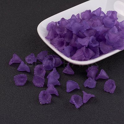 Transparent Acrylic Beads PL622-C01-1