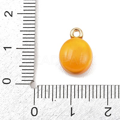Pineapple Bun Alloy Enamel Charms LS-ENAM-P264-01A-G-1