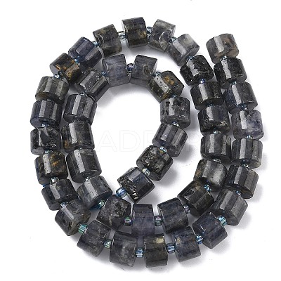 Natural Iolite Beads Strands G-C270-I03-01-1