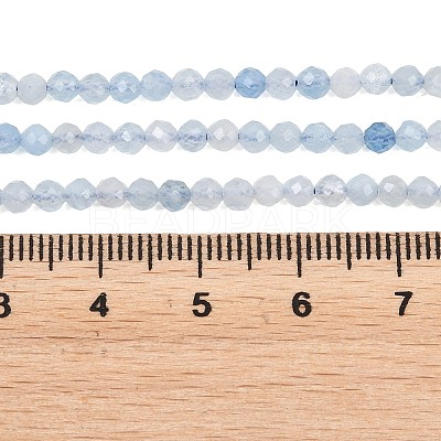 Natural Aquamarine Beads Strands G-Z163-C01-3mm-1