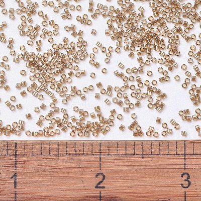 MIYUKI Delica Beads SEED-X0054-DB1221-1