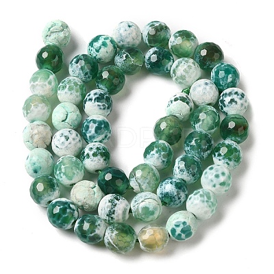 Dyed & Heated Natural Fire Crackle Agate Beads Strands G-P539-B01-21-1