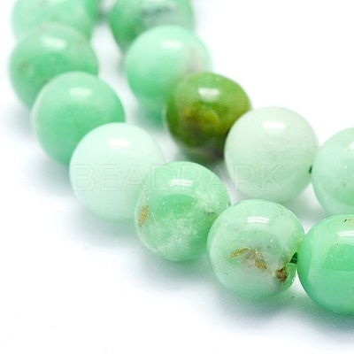 Natural Chrysoprase Beads Strands G-O166-03-10mm-1