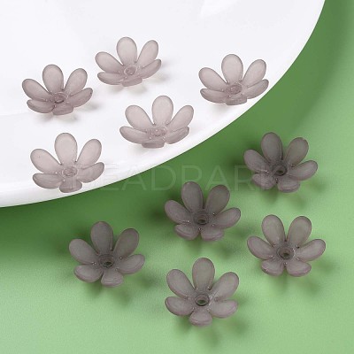 Transparent Acrylic Beads MACR-S373-107-D02-1