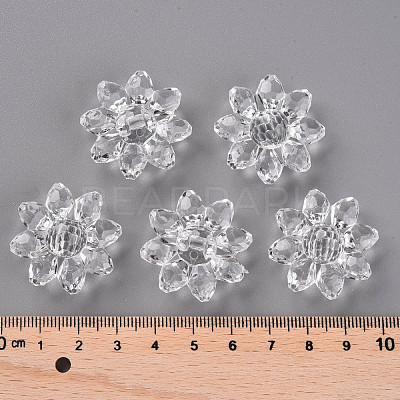 Transparent Acrylic Beads TACR-491-01-1