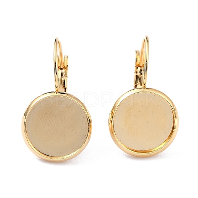 304 Stainless Steel Leverback Earring Settings LS-X-STAS-F191-03G-14mm-1