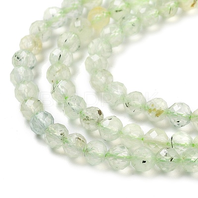 Natural Prehnite Beads Strands G-G161-A13-03-1