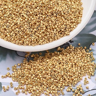 MIYUKI Delica Beads X-SEED-J020-DB0331-1