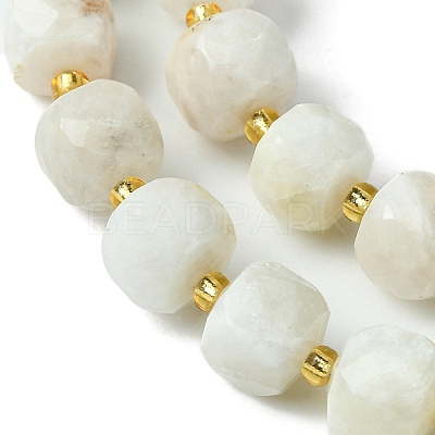 Natural Moonstone Beads Strands G-Q010-A05-01-1