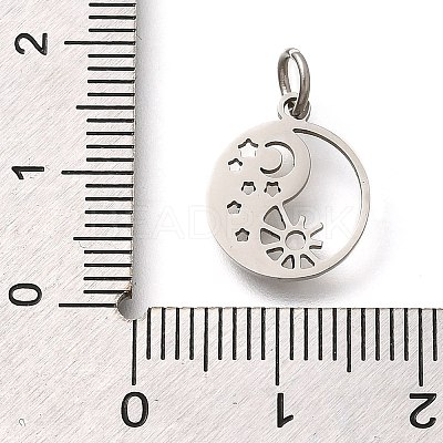 304 Stainless Steel Charms STAS-Z119-19P-1