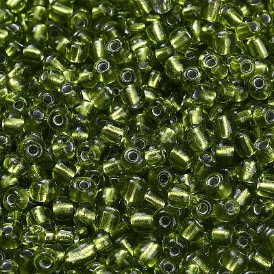 6/0 Round Silver Lined Round Hole Glass Seed Beads X-SEED-A005-4mm-24-1