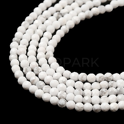 Natural Howlite Beads Strands G-E608-A01-A-1