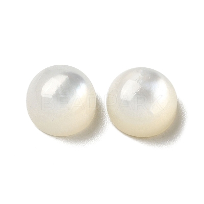 Natural White Shell Cabochons SSHEL-M022-01A-1