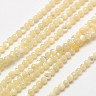 Shell Round Beads Strands G-A130-2mm-02-1