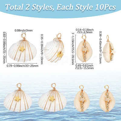 20Pcs 2 Styles Natural Cowrie Shell/Spiral Shell Copper Wire Wrapped Pendants FIND-SC0014-25-1