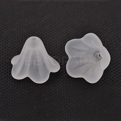 Frosted Acrylic Beads PL692-13-1