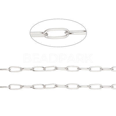 Tarnish Resistant 304 Stainless Steel Paperclip Chains CHS-F010-01B-P-1