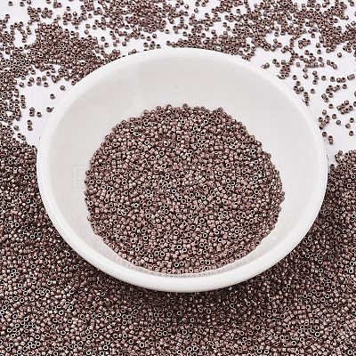 MIYUKI Delica Beads X-SEED-J020-DB1842F-1