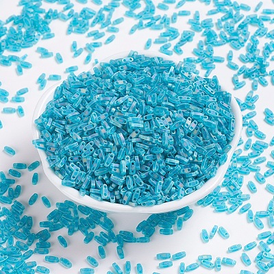 MIYUKI Quarter TILA Beads SEED-MY05-QTL2405FR-1
