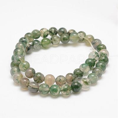 Natural Moss Agate Beads Strands G-F453-6mm-1