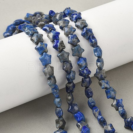 Natural Lapis Lazuli Star Beads Strands G-Z080-A05-1