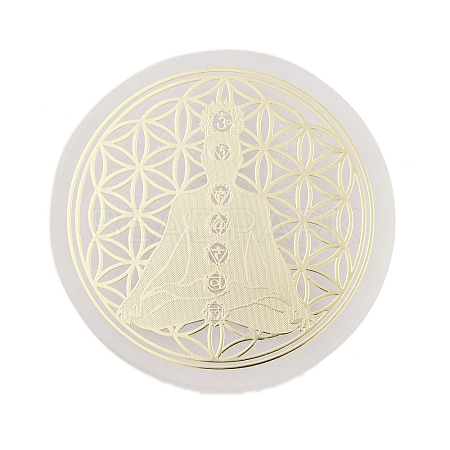 Flat Round Natural Selenite Slice Coasters DJEW-C015-02K-1