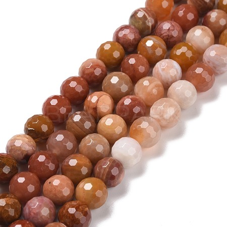 Natural Petrified Wood Beads Strands G-E571-15B-1