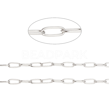 Tarnish Resistant 304 Stainless Steel Paperclip Chains CHS-F010-01B-P-1
