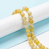 Handmade Lampwork Beads Strands LAMP-D072-A-04-4