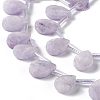 Natural Lepidolite Beads Strands G-G805-B18-4