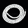 Natural Trochid Shell/Trochus Shell Beads Strands SSHEL-S266-023A-01-2