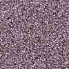 TOHO Round Seed Beads SEED-XTR15-0110-2
