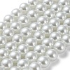 Baking Painted Pearlized Glass Pearl Round Bead Strands X-HY-Q003-12mm-01-2