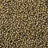 TOHO 8/0 Round Beads SEED-XTR08-0390-2