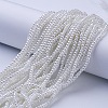 Glass Pearl Beads Strands HY-3D-B01-4
