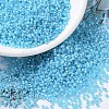 MIYUKI Round Rocailles Beads SEED-X0054-RR0647-1
