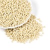 8/0 Baking Paint Glass Round Seed Beads SEED-S036-01B-19-1