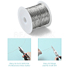 Non-Tarnish 316 Stainless Steel Wire TWIR-L004-01C-P-4