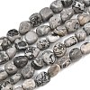 Natural Map Stone Beads Strands GG-CBA787B-A38-2